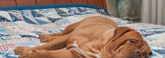 Limpieza de fin de invierno