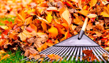 Cuidados otoñales del jardín: calendario de medidas antes del invierno