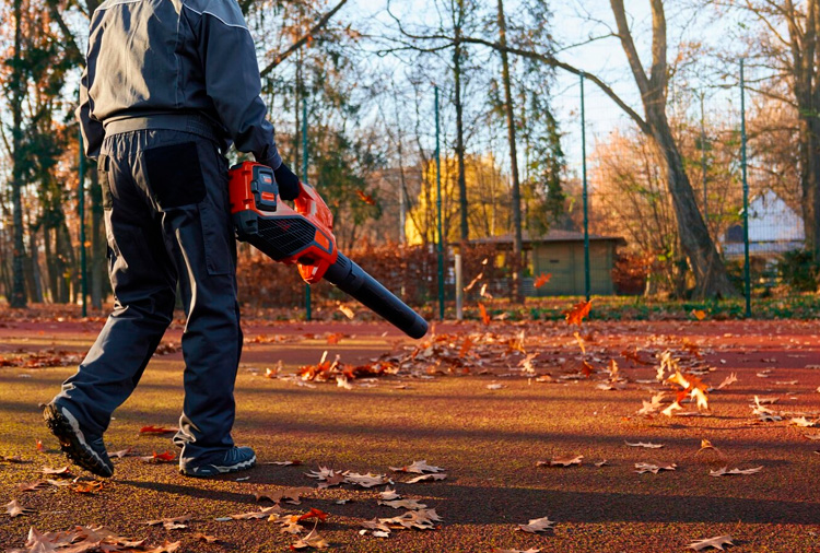 Limpieza para el otoño: preparación para el frío