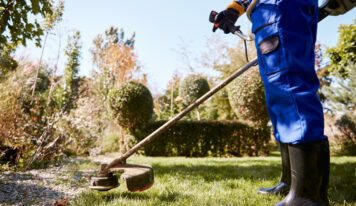 Desbroce profesional: clave para mantener espacios limpios y seguros