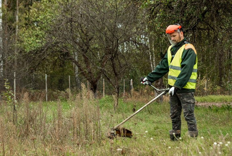 Desbroce y prevención de incendios forestales