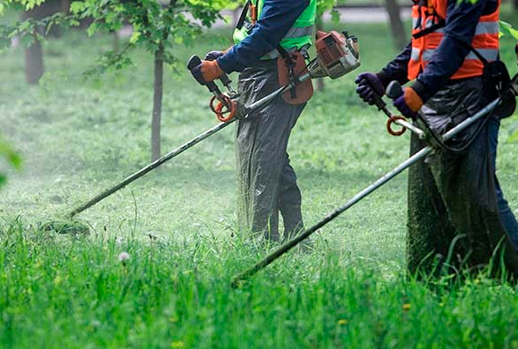 Cómo el desbroce influye en la planificación futura del terreno