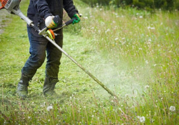 La limpieza del terreno como herramienta esencial: Desbroce de fincas