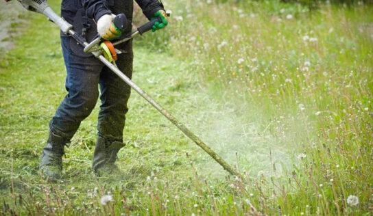 La limpieza del terreno como herramienta esencial: Desbroce de fincas