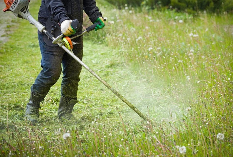 La limpieza del terreno como herramienta esencial: Desbroce de fincas