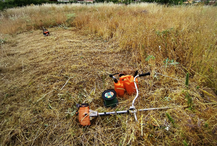 ¿Por qué el mantenimiento del entorno es esencial?